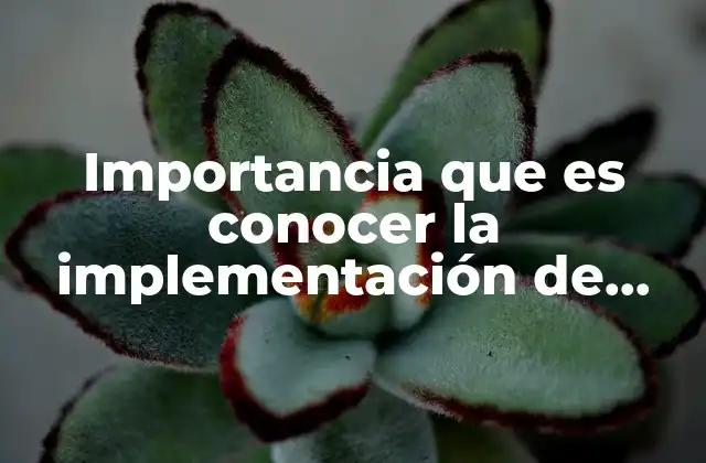 Importancia que es Conocer la Implementación de una Empresa