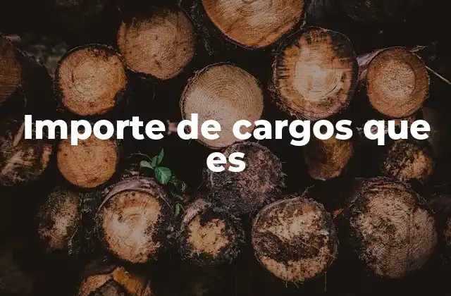 Importe de Cargos que es