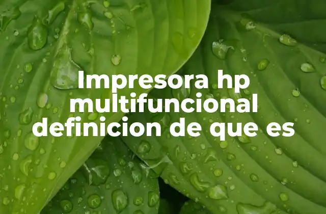 Impresora Hp Multifuncional Definicion de que es 2 La evolución de los dispositivos de impresión integrados