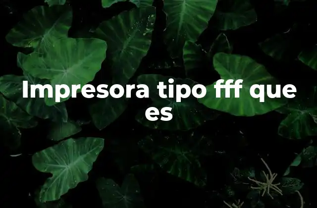 Impresora Tipo Fff que es
