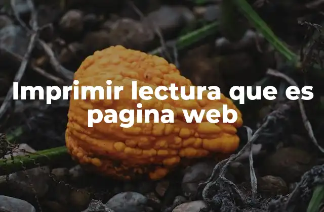 Imprimir Lectura que es Pagina Web