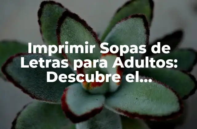 Imprimir Sopas de Letras para Adultos: Descubre el Entretenimiento Inteligente
