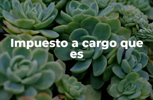 Impuesto a Cargo que es