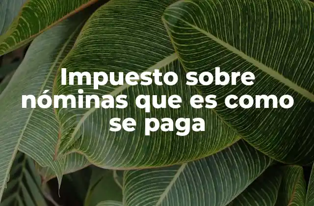Impuesto sobre Nóminas que es como Se Paga