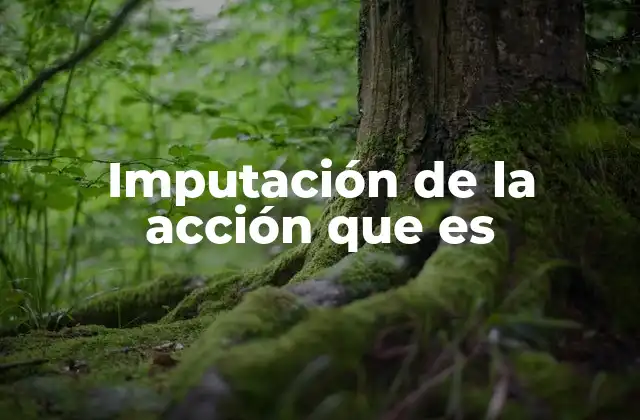 Imputación de la Acción que es 2 La relación entre acción y responsabilidad penal