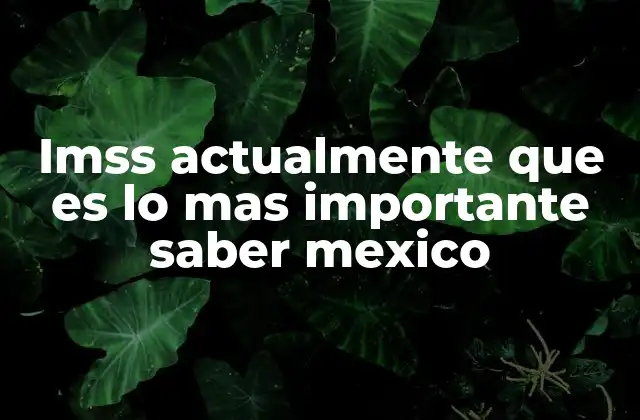 Imss Actualmente que es Lo mas Importante Saber Mexico