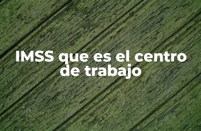 Imss que es el Centro de Trabajo