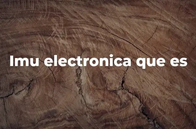 Imu Electronica que es
