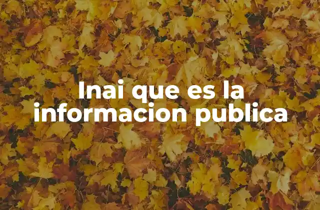Inai que es la Informacion Publica