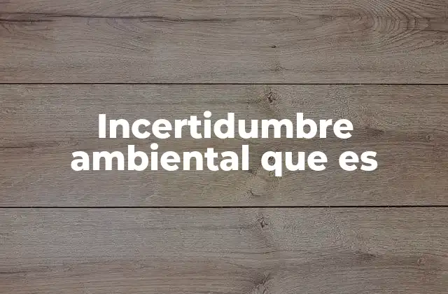 Incertidumbre Ambiental que es