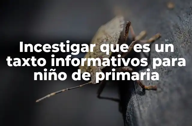 Incestigar que es un Taxto Informativos para Niño de Primaria