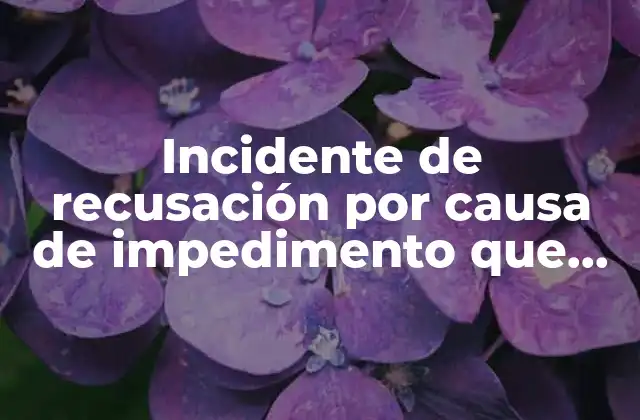 Cómo se fundamenta el impedimento judicial