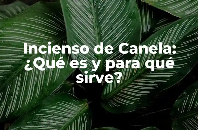 Incienso de Canela: ¿qué es y para Qué Sirve?