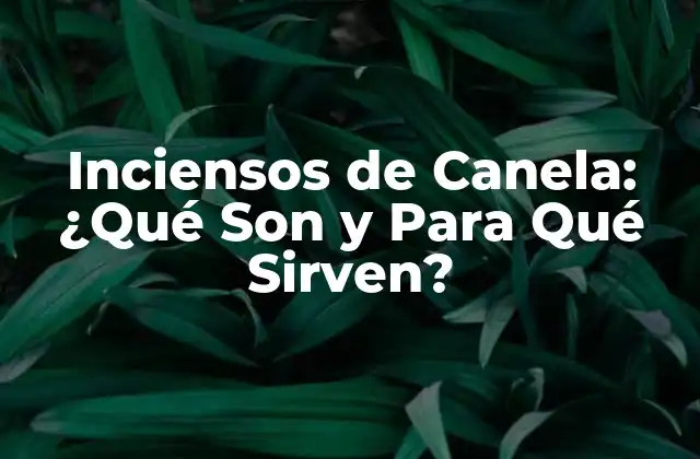 Inciensos de Canela: ¿qué Son y para Qué Sirven? 2 Propiedades Terapéuticas de los Inciensos de Canela