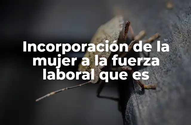 Incorporación de la Mujer a la Fuerza Laboral que es