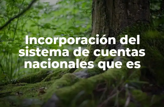 Incorporación Del Sistema de Cuentas Nacionales que es