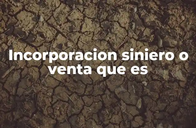 Incorporacion Siniero o Venta que es