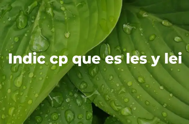 Uso de los pronombres demostrativos en el francés moderno