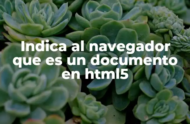 Indica Al Navegador que es un Documento en Html5