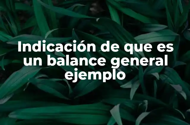 La importancia de un balance general en la gestión empresarial