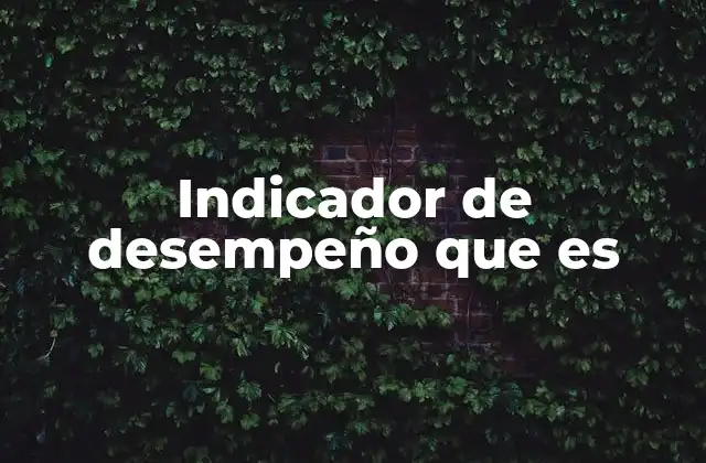 Indicador de Desempeño que es