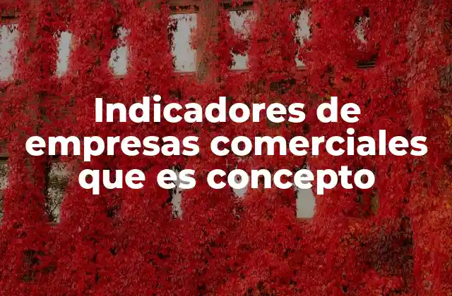 Indicadores de Empresas Comerciales que es Concepto