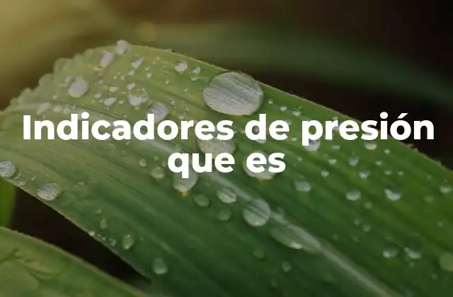Indicadores de Presión que es