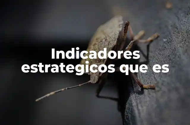 Indicadores Estrategicos que es
