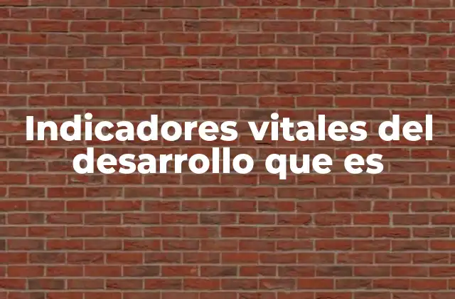 Indicadores Vitales Del Desarrollo que es