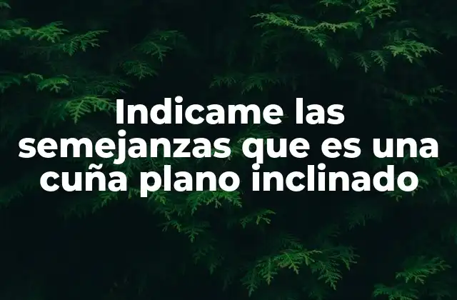 Indicame las Semejanzas que es una Cuña Plano Inclinado