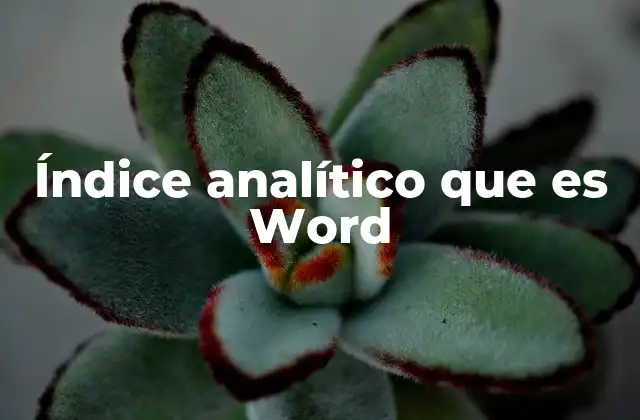 Índice Analítico que es Word