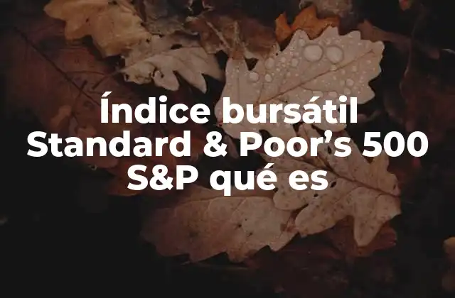 Índice Bursátil Standard & Poor’s 500 S&p Qué es
