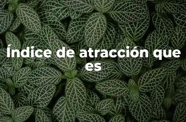 Índice de Atracción que es 2 La importancia del índice de atracción en diferentes sectores