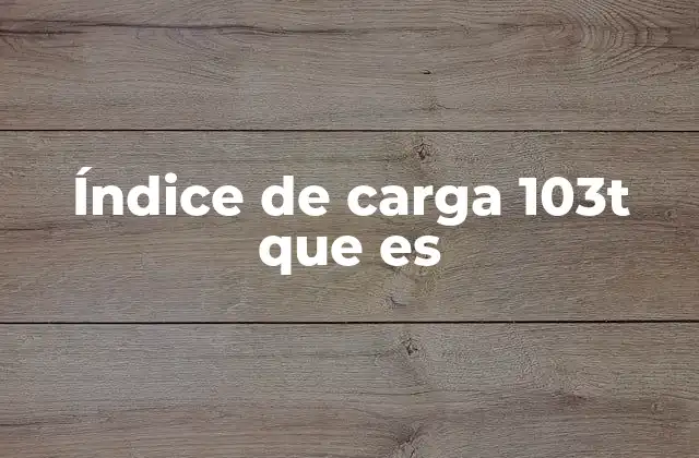 Índice de Carga 103t que es