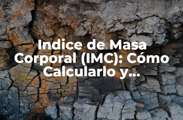 ¿Qué es el Indice de Masa Corporal (IMC)?