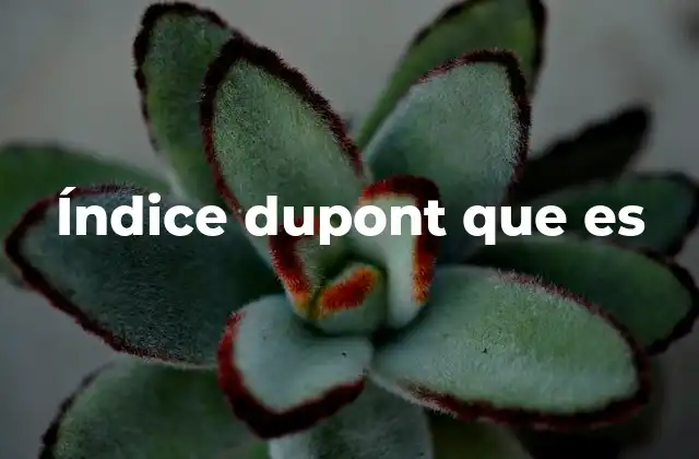 Índice Dupont que es
