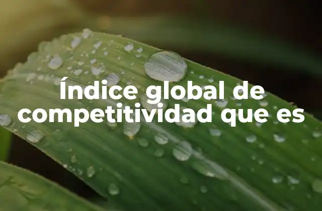 Índice Global de Competitividad que es