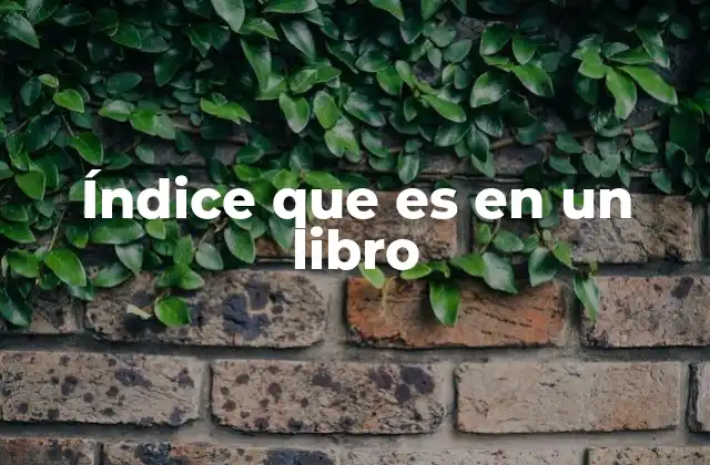 Índice que es en un Libro 2 La importancia del índice en la organización de un libro