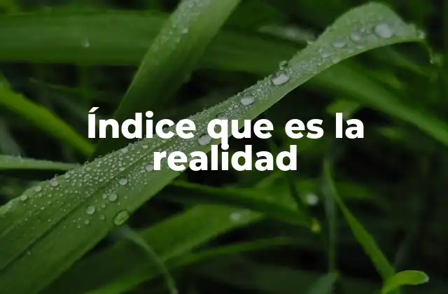 Índice que es la Realidad