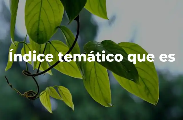 Índice Temático que es