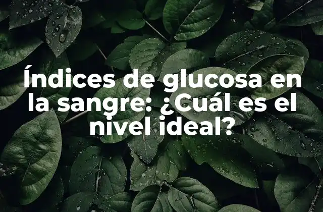 Índices de Glucosa en la Sangre: ¿cuál es el Nivel Ideal?