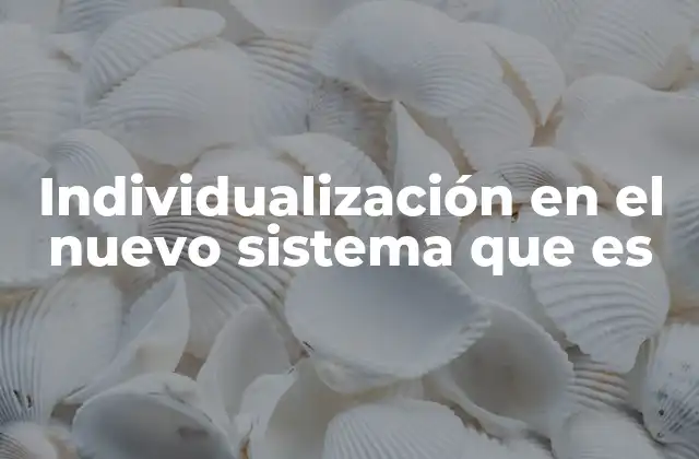 Individualización en el Nuevo Sistema que es