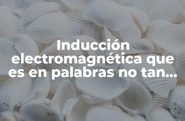 Inducción Electromagnética que es en Palabras No Tan Científicas