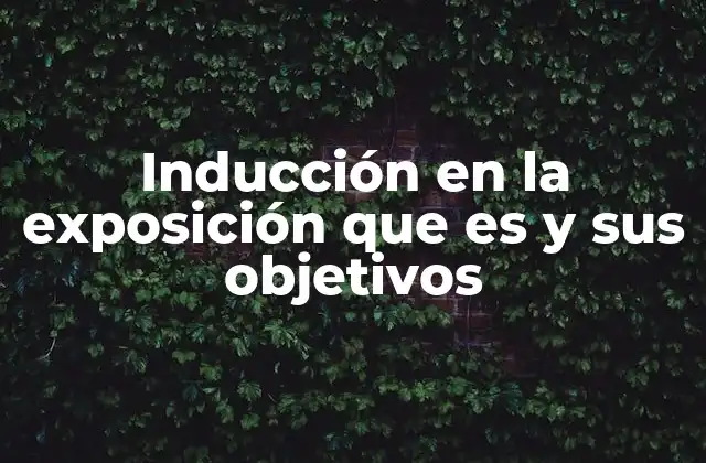 La importancia de una introducción clara en la comunicación