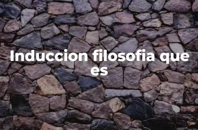 Induccion Filosofia que es