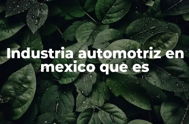 Industria Automotriz en Mexico que es