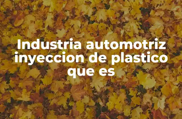 Industria Automotriz Inyeccion de Plastico que es