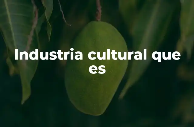 Industria Cultural que es