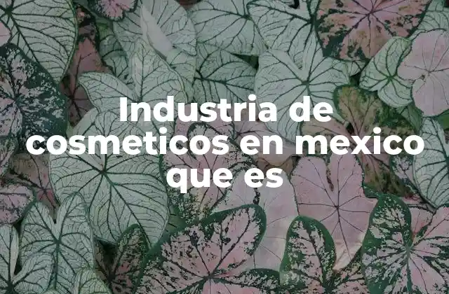 Industria de Cosmeticos en Mexico que es