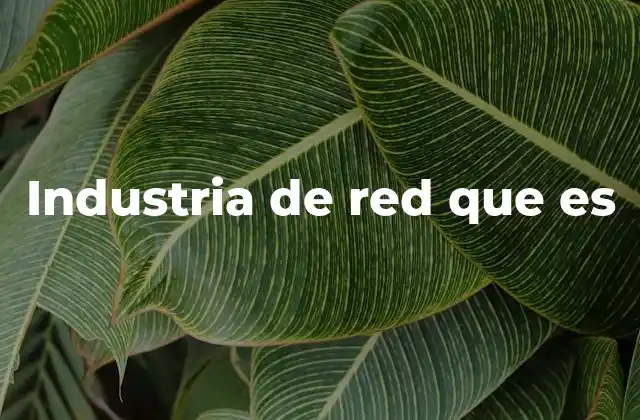 Industria de Red que es